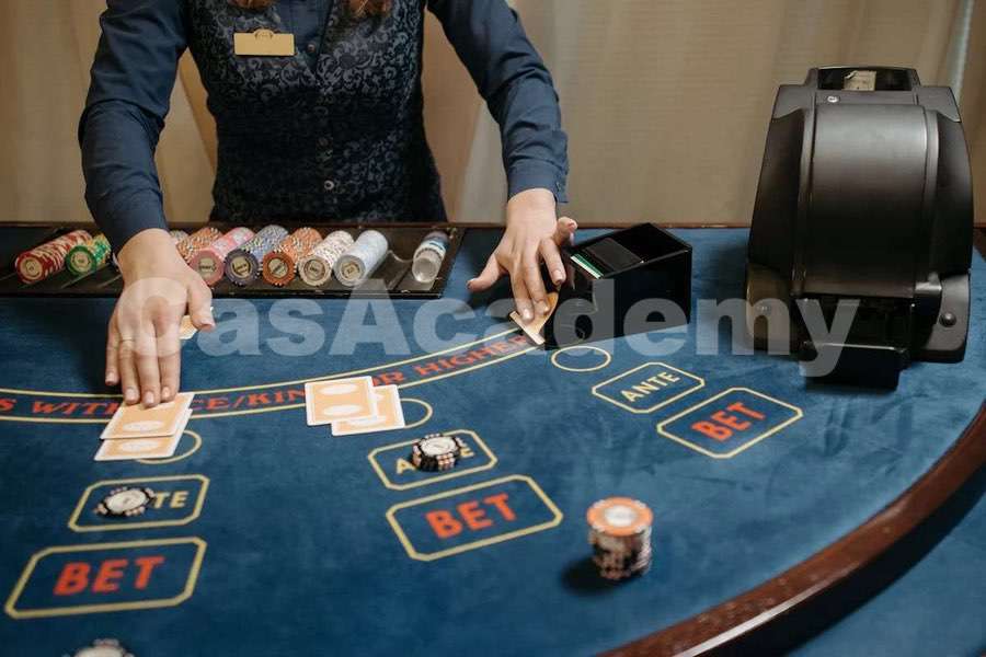 Recursos para profesionales de casino